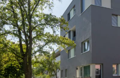 Trifelsring komplett