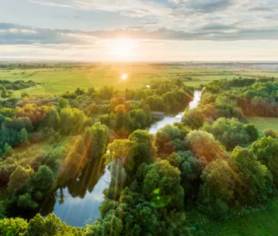 Grüne Landschaft mit Fluss und Sonne